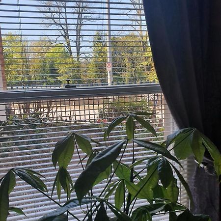 River View Apartment Suite Cork Luaran gambar