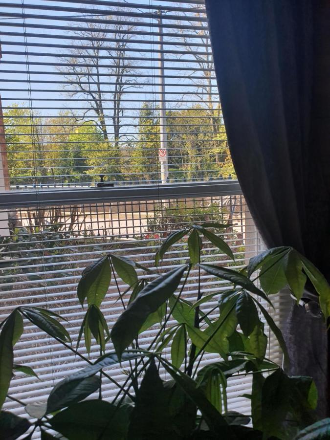 River View Apartment Suite Cork Luaran gambar